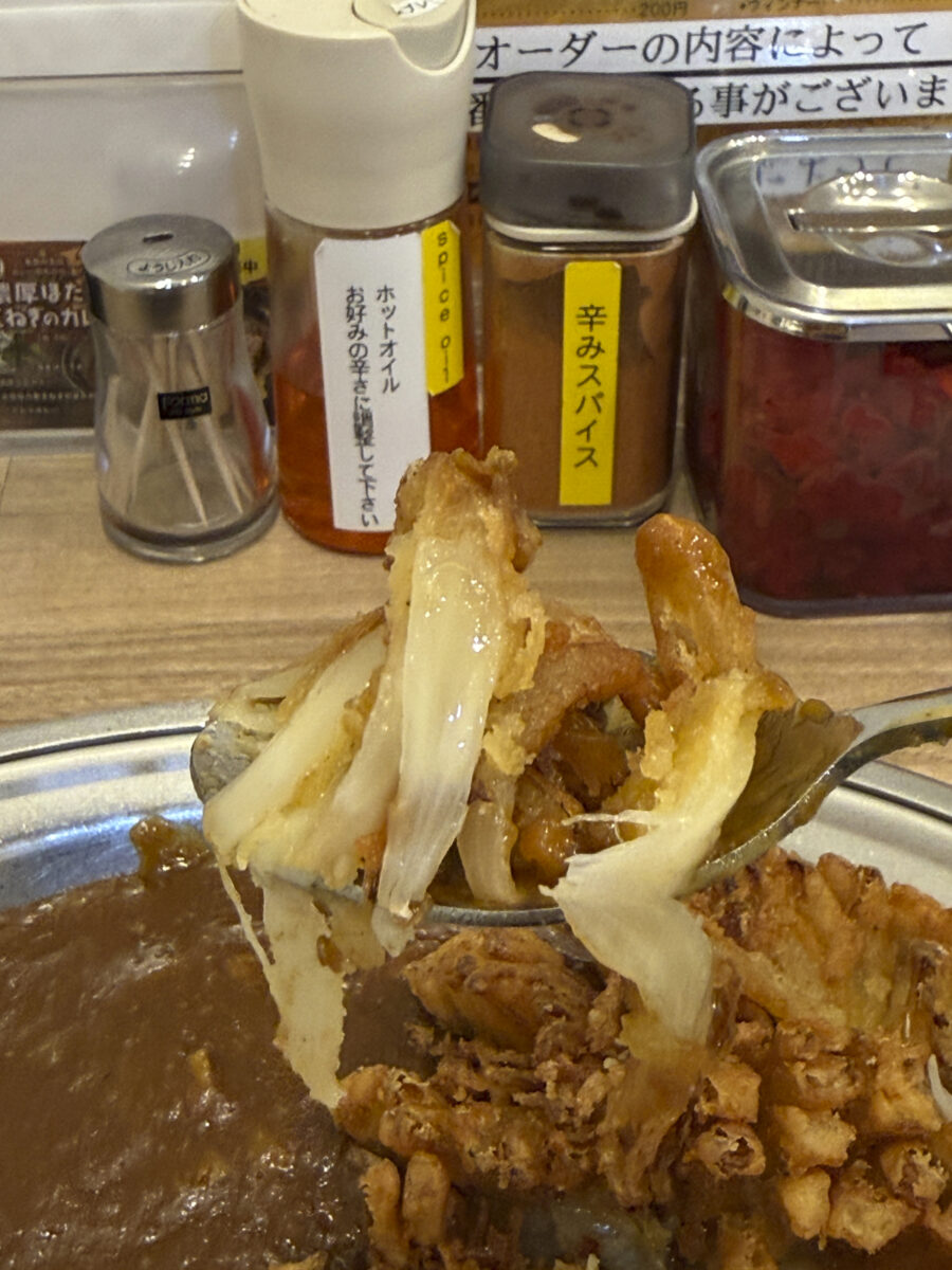 カレーのちから 札幌アピア店 玉ねぎまるごとカレー