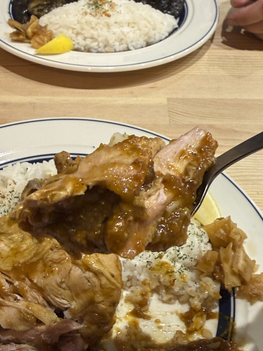 カレーの子 くろしお 大通り店の訪問写真19